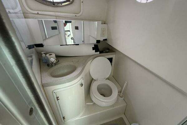 Photo of the 1999 Wellcraft 290 Coastal "Big Fish On"