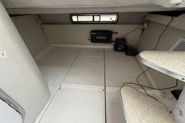 Big Fish On 29ft Wellcraft Yacht For Sale