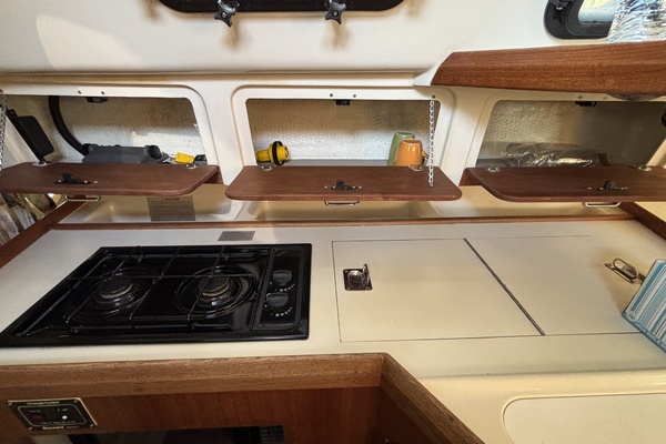 Neon Leon 30ft Hunter Yacht For Sale