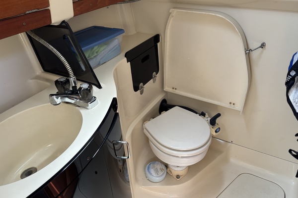 Neon Leon 30ft Hunter Yacht For Sale