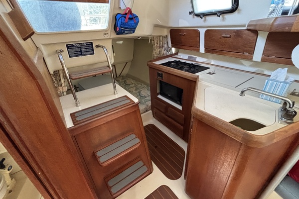 Neon Leon 30ft Hunter Yacht For Sale