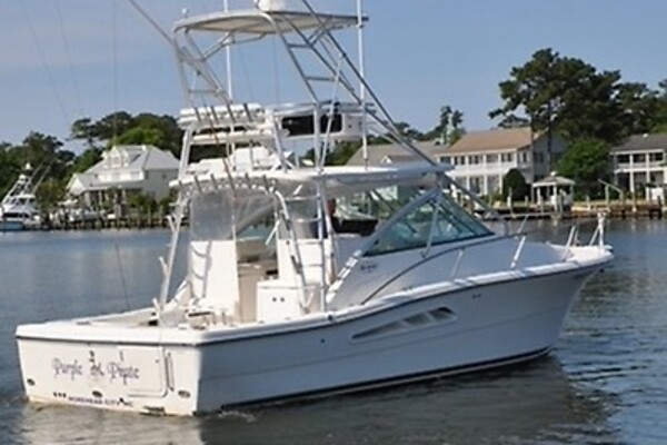 2006 Rampage 33 Express