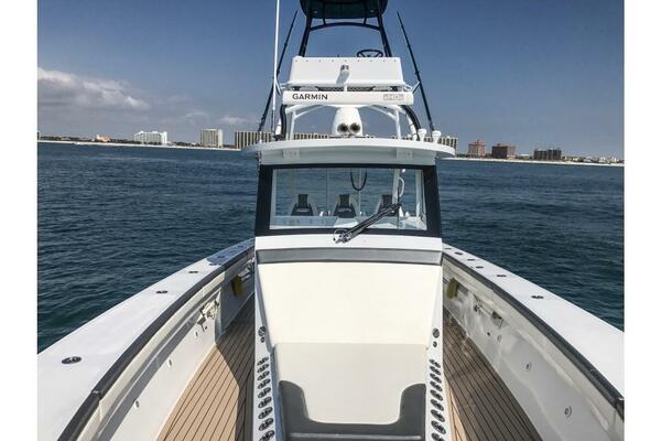 Metal Shark 42 - Pretty Work -