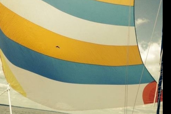 Low Rider 34ft San Juan Yacht For Sale