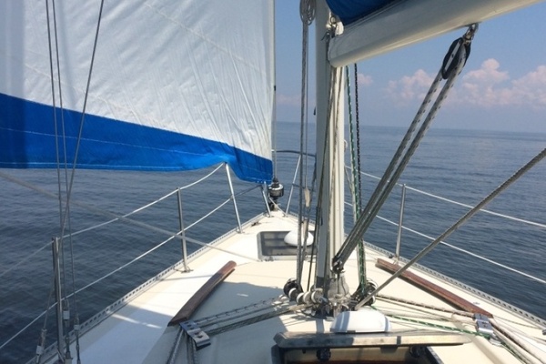 Low Rider 34ft San Juan Yacht For Sale