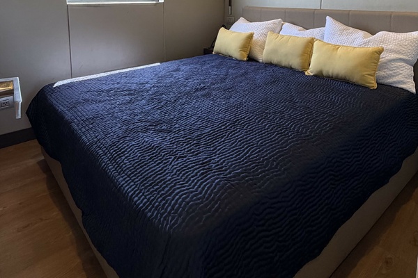 Guest Stateroom - Queen