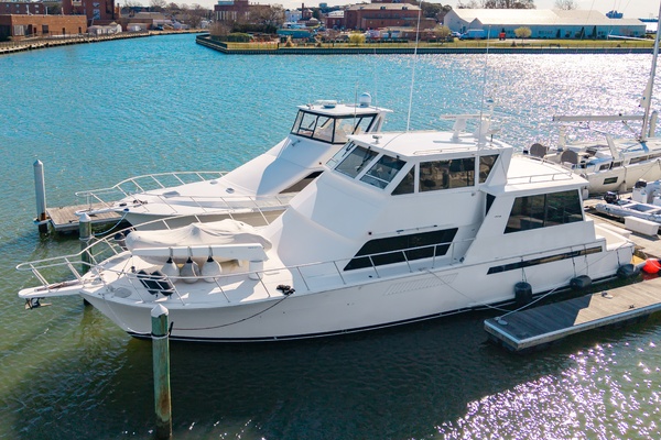 60 Viking Dark Horse 1