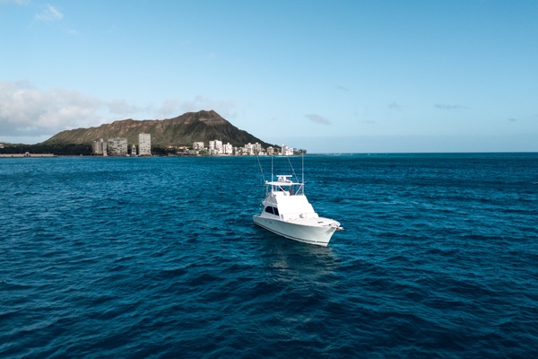 50ft Commercial Yacht For Sale