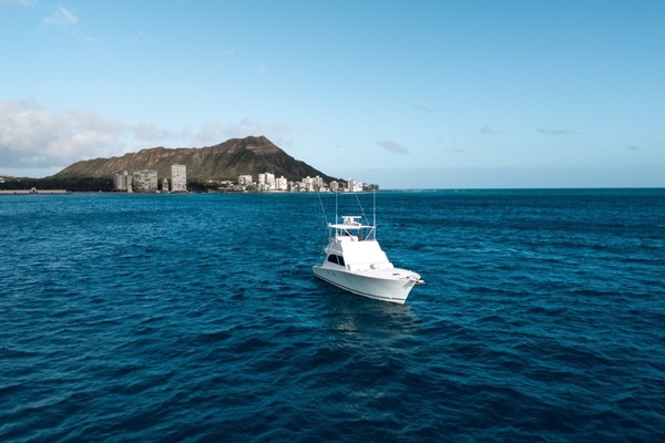 Limitless 50ft Post Yacht For Sale