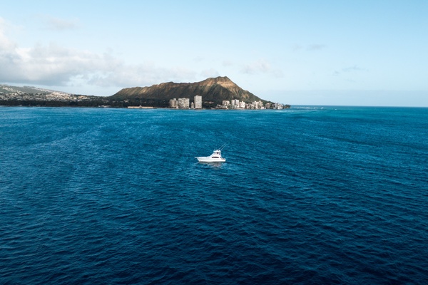 50ft Commercial Yacht For Sale