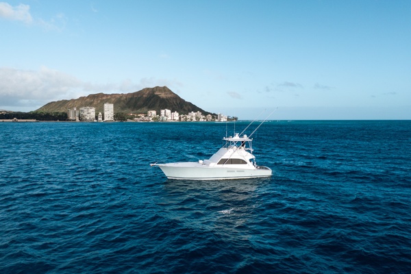 50ft Commercial Yacht For Sale