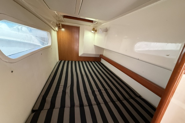 Bajer 37ft Leopard Yacht For Sale