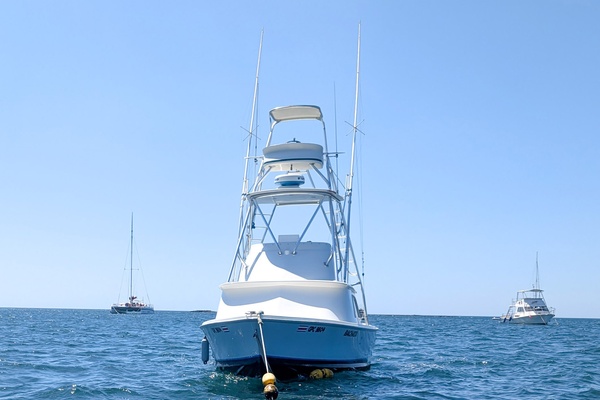 Bachata 31ft Bertram Yacht For Sale