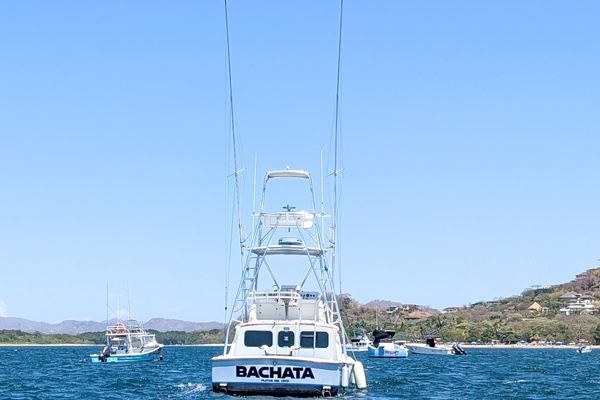 Photo of the 1973 Bertram Sportfisher "Bachata"