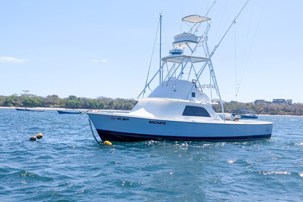 Bachata 31ft Bertram Yacht For Sale