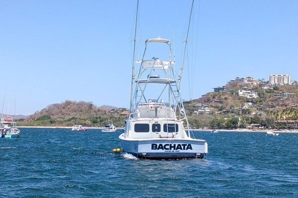 Photo of the 1973 Bertram Sportfisher "Bachata"