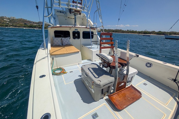 Bachata 31ft Bertram Yacht For Sale
