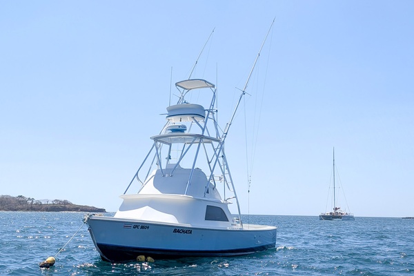 1973 Bertram 31 Sportfisher