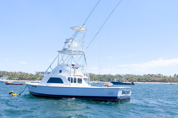 Bachata 31ft Bertram Yacht For Sale