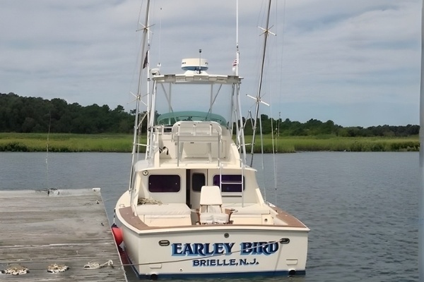 31-ft-Bertram-1973-31 SF-Earley Bird Point Pleasant New Jersey United States  yacht for sale