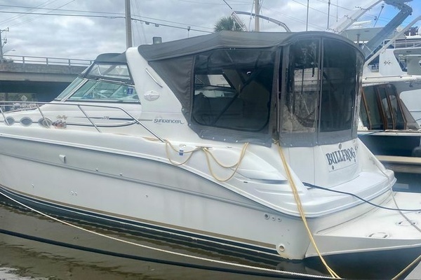 Photo of the 1995 Sea Ray  "Bullfrog"
