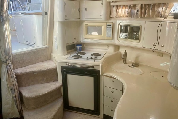 Photo of the 1995 Sea Ray  "Bullfrog"