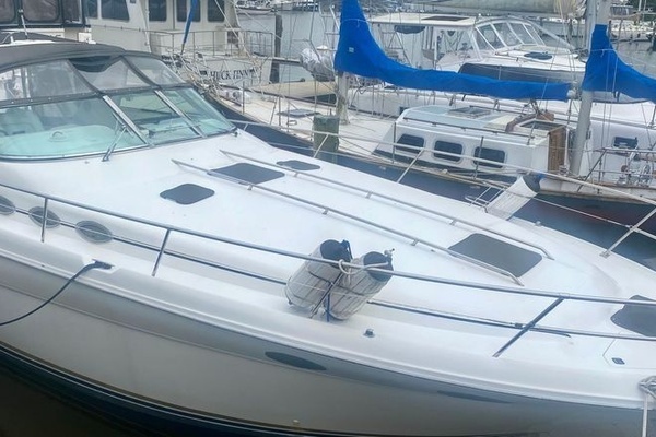 Photo of the 1995 Sea Ray  "Bullfrog"