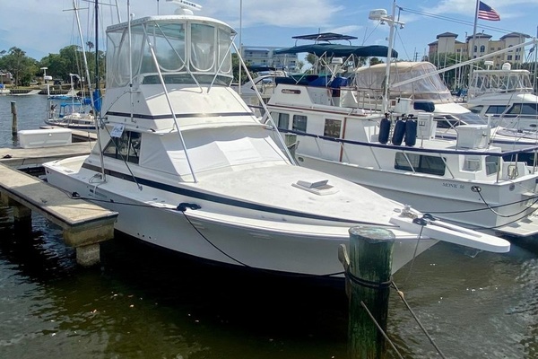 1974 Bertram 35