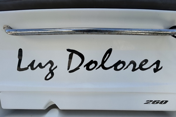 26ft Sea Ray Yacht For Sale