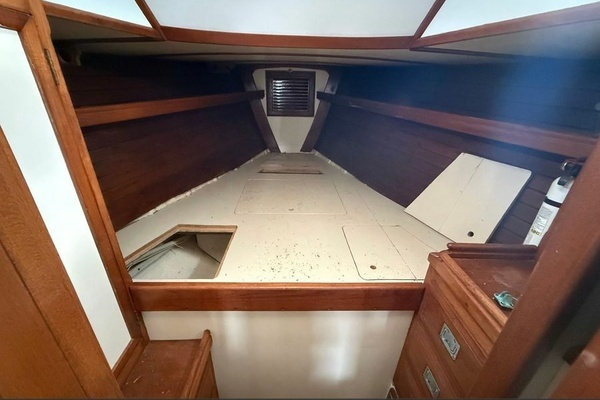 Photo of the 1981 Shannon  "LaMeghan"