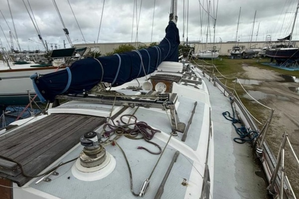 Photo of the 1981 Shannon  "LaMeghan"