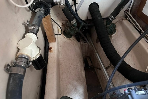 Photo of the 1979 Hardin  "TIGER LILLY"