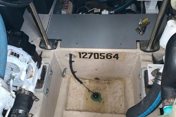 ABOVE GROUND 45ft Sea Ray Yacht For Sale