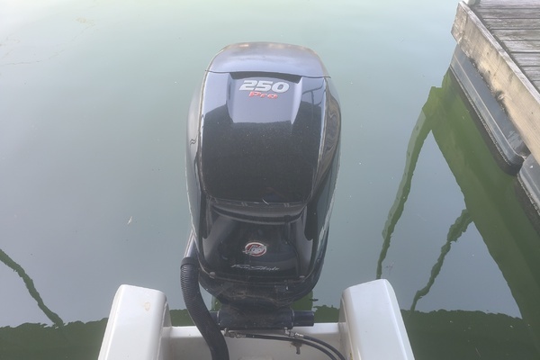 Photo of the 2018 Tracker REGENCY 254 LE3