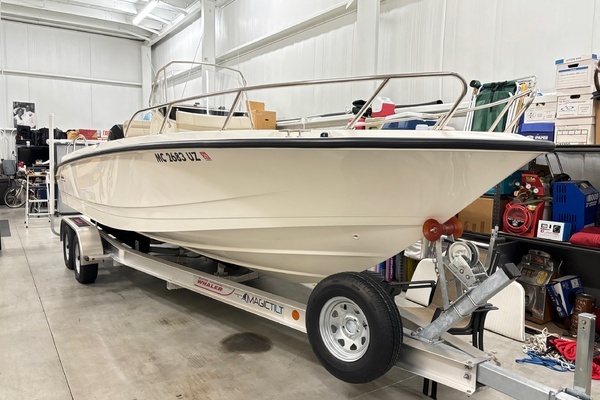 Photo of the 2024 Boston Whaler 250 Dauntless