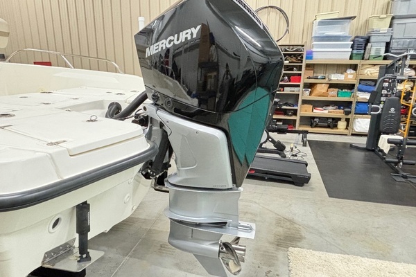 Photo of the 2024 Boston Whaler 250 Dauntless