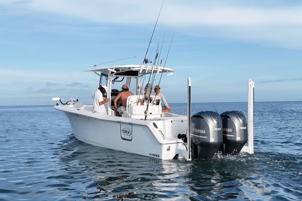 29ft Sea Hunt Yacht For Sale