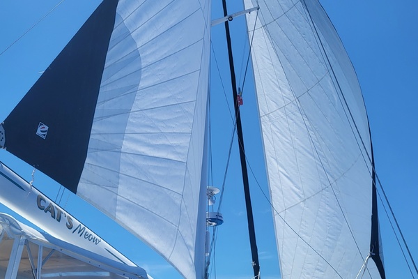 Cat s Meow 78ft Kelsall Yacht For Sale