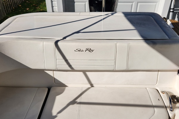 Photo of the 2019 Sea Ray 190 SPX