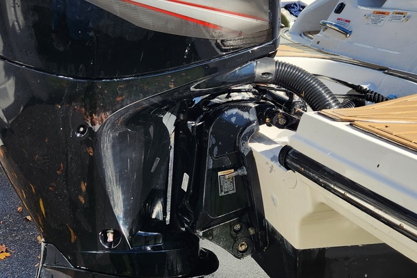 19ft Sea Ray Yacht For Sale