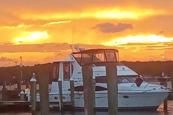 44ft Carver Yacht For Sale