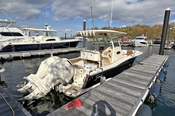 Photo of the 2017 Scout 255 LXF "Unnamed"