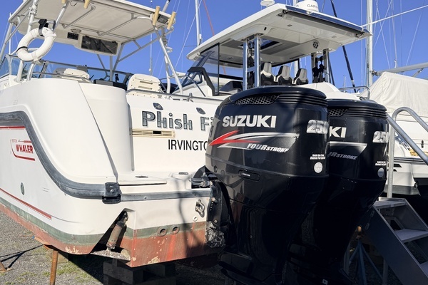 Photo of the 2000 Boston Whaler 