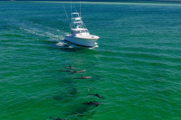 PART OF IT 39ft Daytona Yacht For Sale