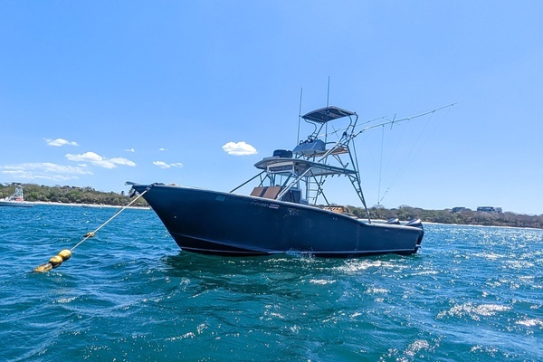 Photo of the 1995 Ocean Master 34 "Sea Senora II"