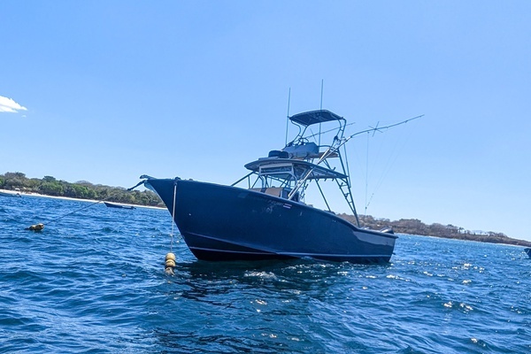Photo of the 1995 Ocean Master 34 "Sea Senora II"
