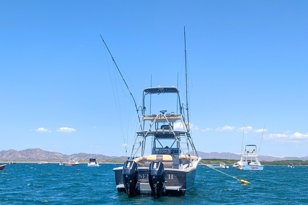 Photo of the 1995 Ocean Master 34 "Sea Senora II"