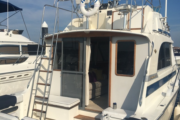 33ft Bertram Yacht For Sale
