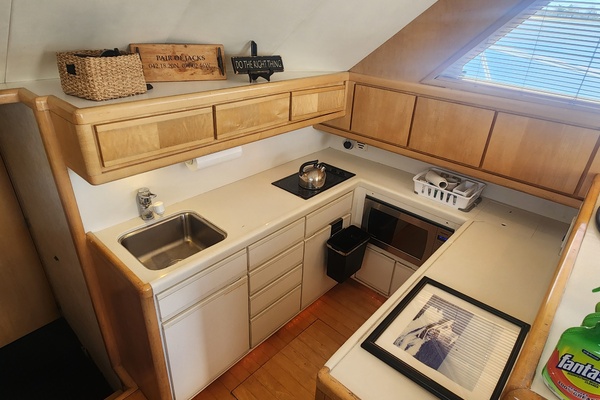 Pair of Jacks 43ft Bertram Yacht For Sale
