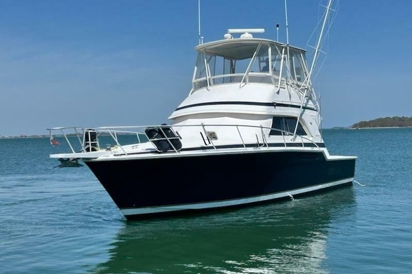 Photo of the 1995 Bertram  "Pair of Jacks"